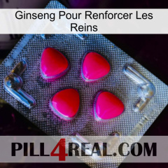 Ginseng For Reinforcing Kidney 13